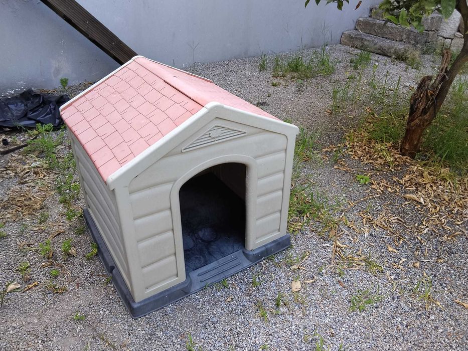 Casota de cão (porte médio/grande)