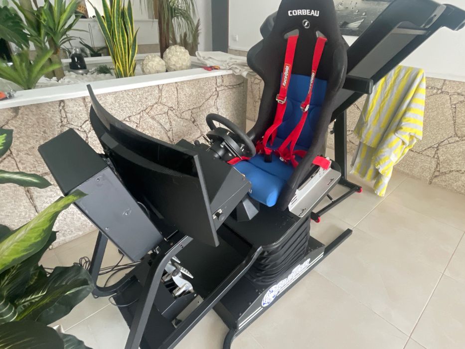 Full-Motion and Flight Simulator