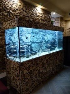 АКВАРІУМИ за адекватними цінами!