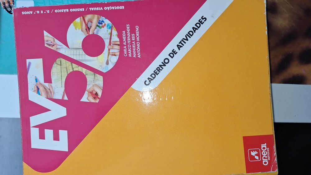 Manuais 6ano bom estado