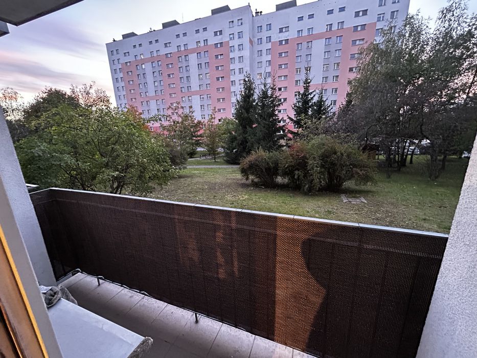 Zdjęcie 5