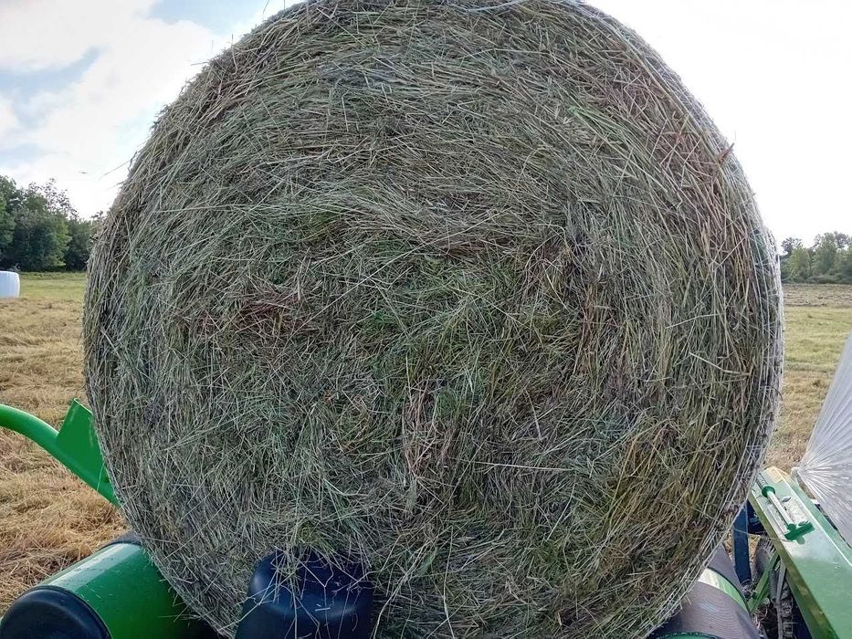 Rolos Fenosilagem azevém nascediço