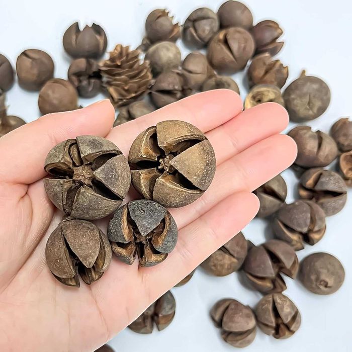 Naturalna dekoracja świąteczna 250g do wieńców i potpourri