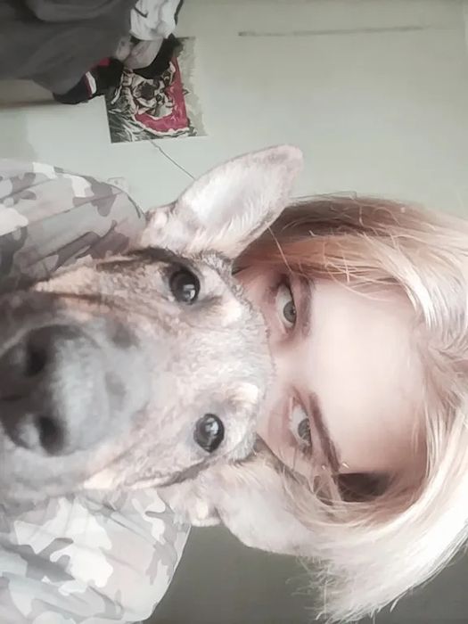 альфа шукає родину