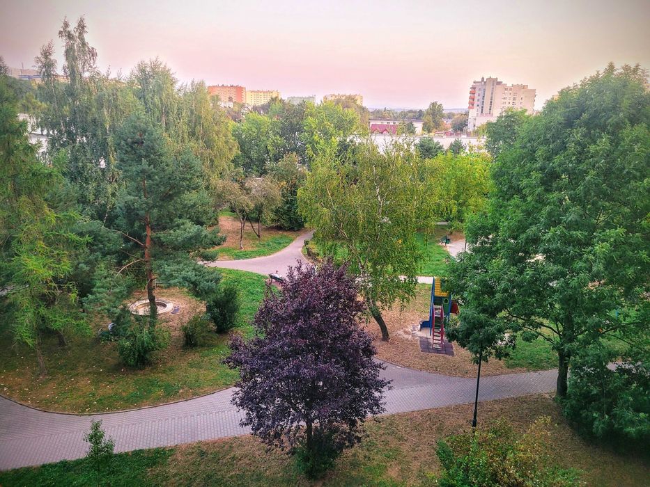 Zdjęcie 8
