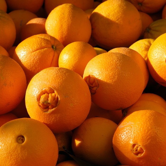 Laranja da Baia ou laranja-de-umbigo biológica .