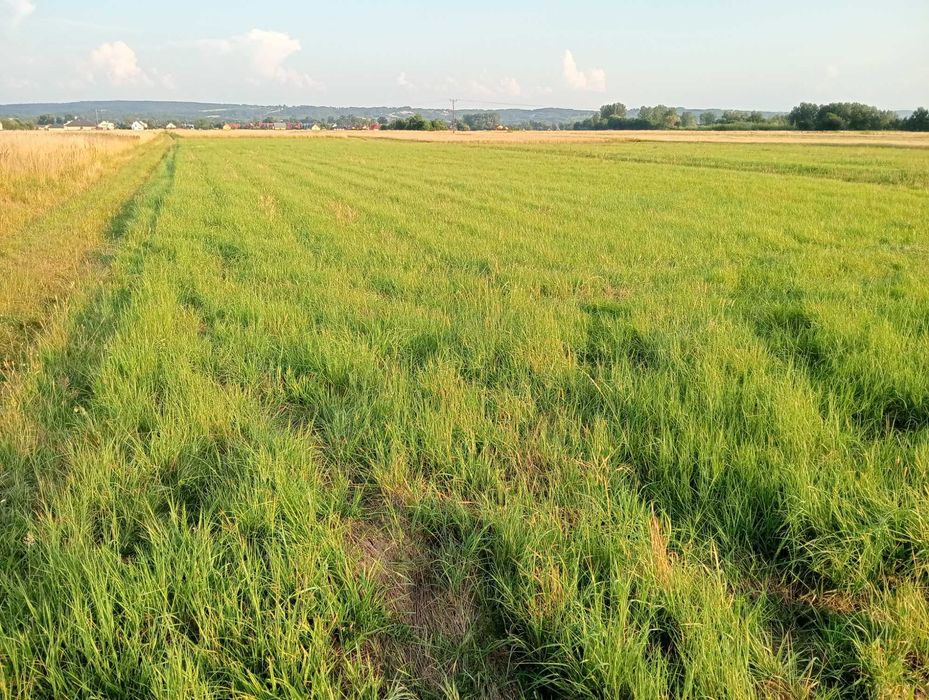 Działka 9 ar Rzeszów Senatorska - Widok 2