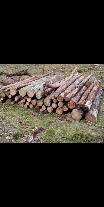 Tanie drewno opałowe sosna gubin okolice