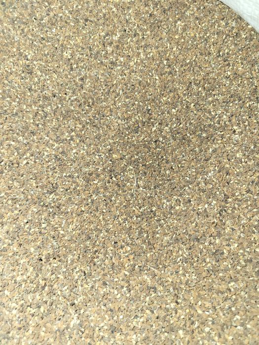 Sprzedam facelię błękitną oczyszczoną