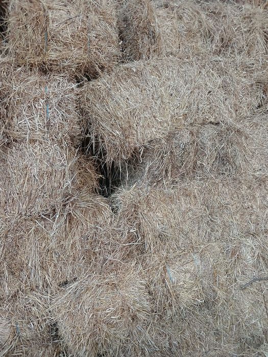 Fardos de palha seca