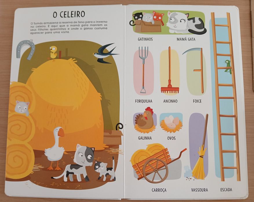 Livro puzzles desenvolvido para juvenis A Quinta primeiras palavras