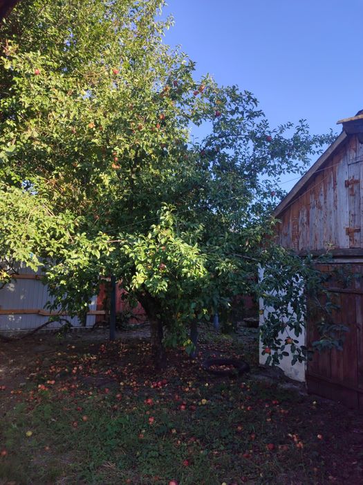Продаж будинку в місті Сміла.