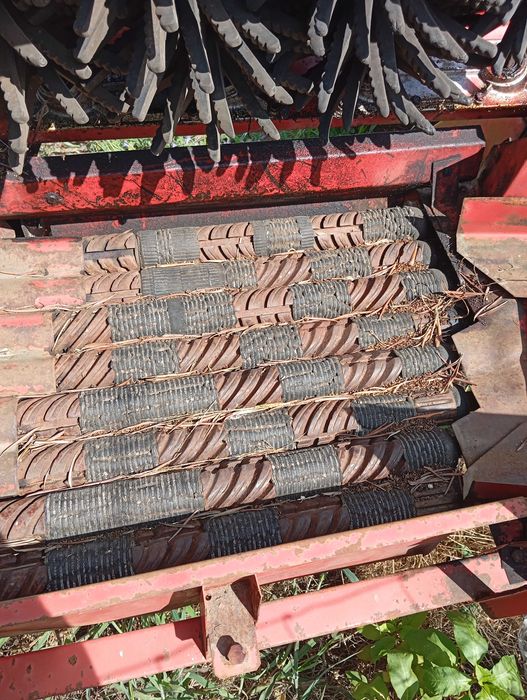 Máquina de desfolhar espigas Benac