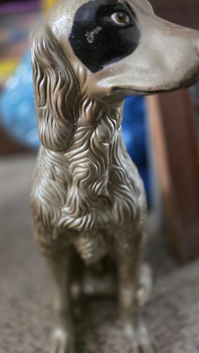 Cão de Loiça dourado