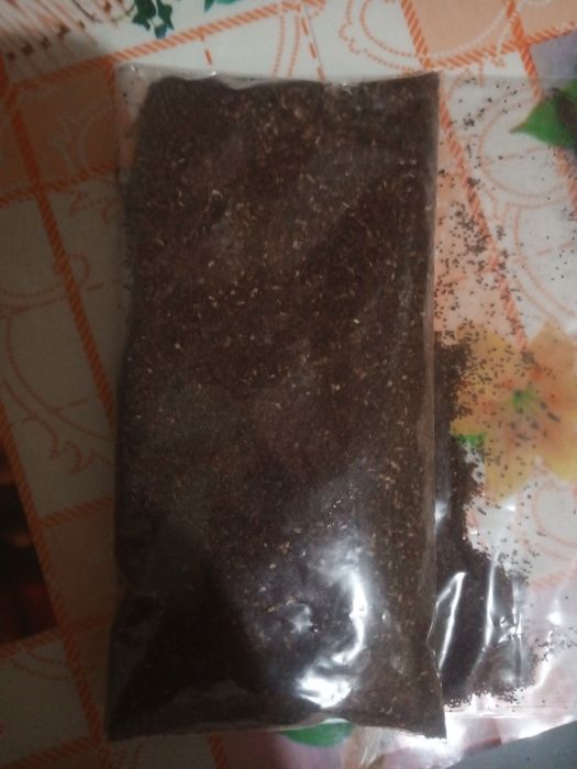 Продам насіння тютюну,берлей 46.