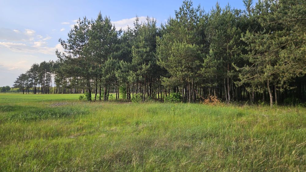 Sprzedam  nieruchomość rolną Jednorozec - Widok 3