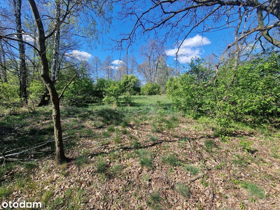 Działka rolna 4600 m² (okolica letniskowa) Sekłak blisko rzeki Liwiec