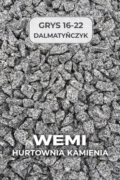 Grys DALMATEŃCZYK 16-22 GRYSY/ TŁUCZEŃ  Dostawa gratis !