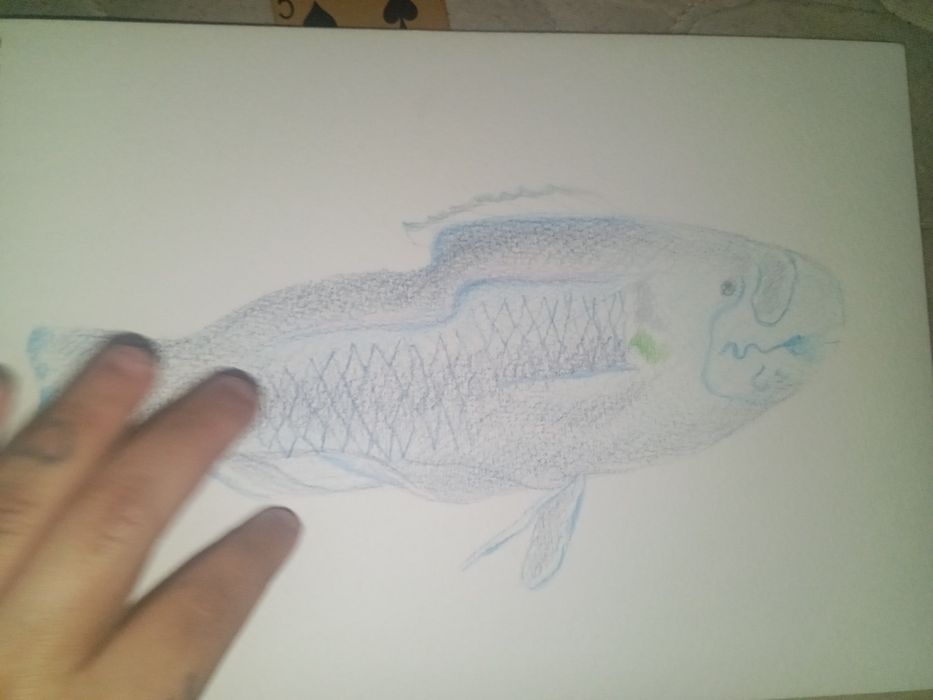 Álbum de desenhos da Manuela