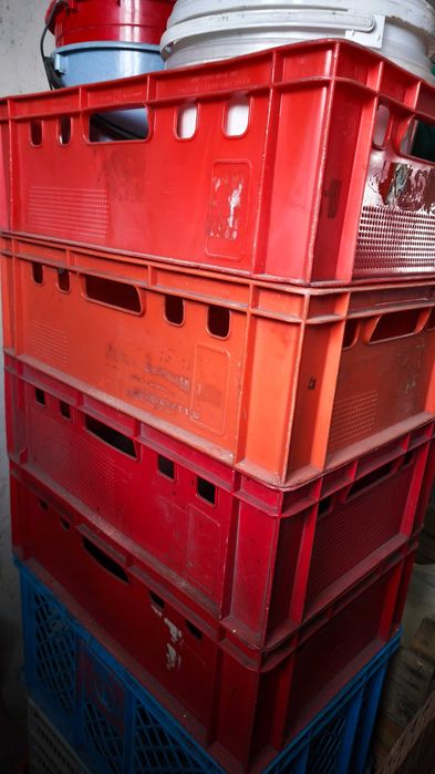 Pojemniki plastikowe na mięso, skrzynka / skrzynki (komplet)