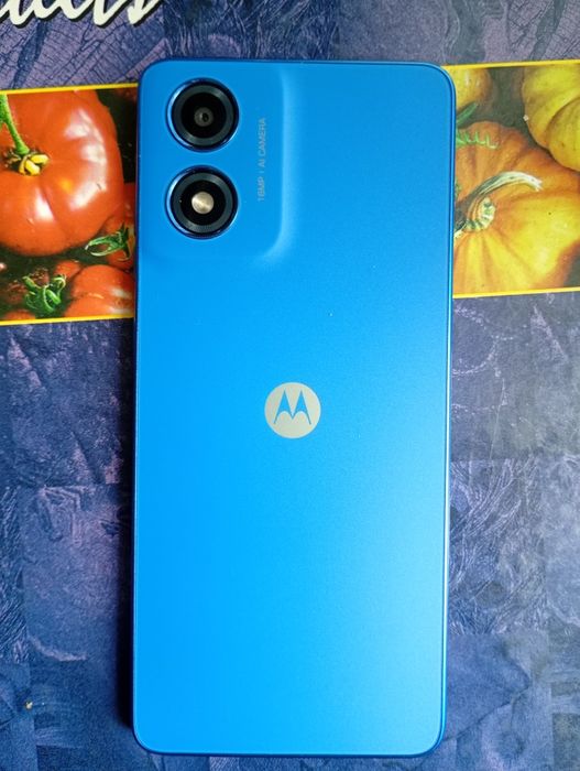 Motorola g04 4/64