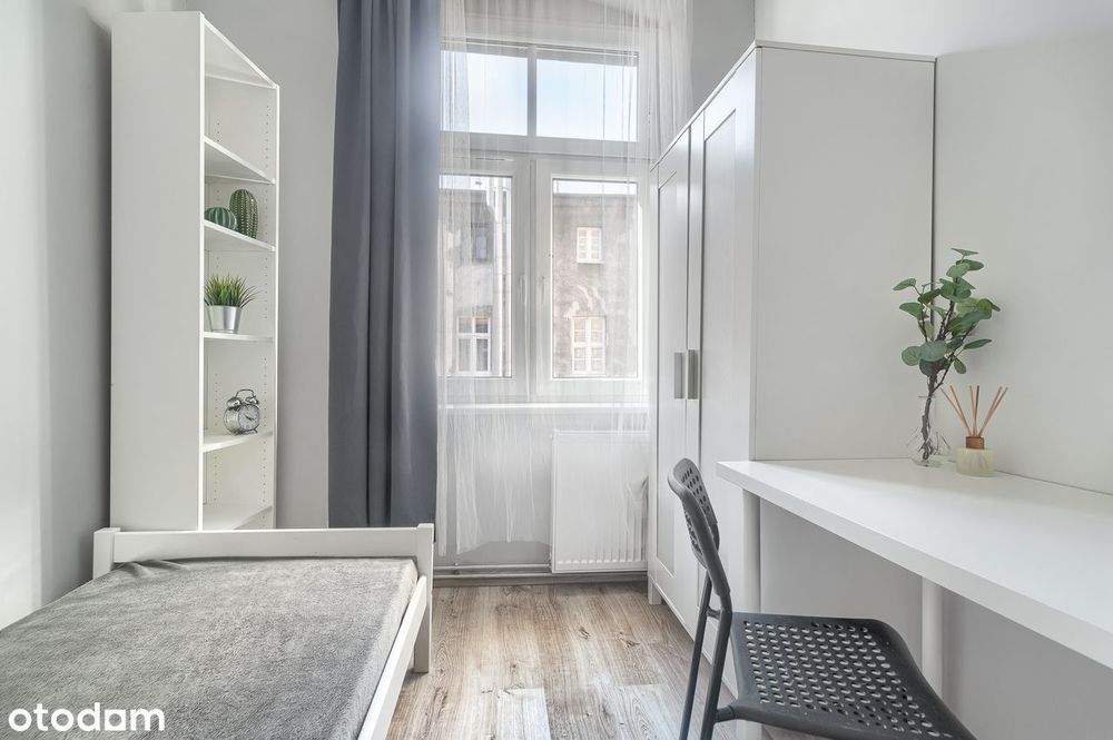 Gotowiec inwestycyjny | Centrum | 7pok | Sprawdzona inwestycja od 8lat - Widok 5