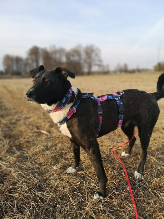 Delikatna i radosna Zosieńka