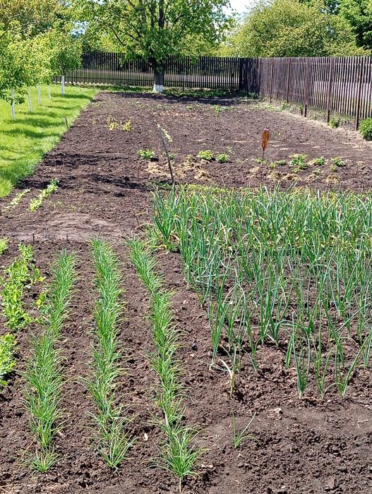 Продам будинок 3 гаражами, або обмін на кв.будинок!