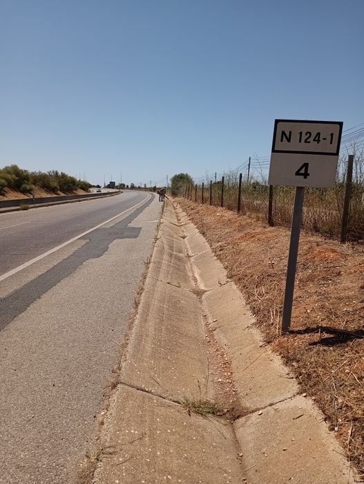 Limpeza de terros/Manutenção de jardins