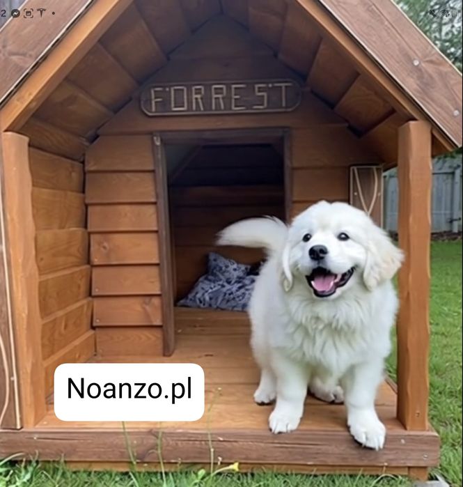 Naturalna drewniana buda dla psa XXL współpraca ze schroniskami