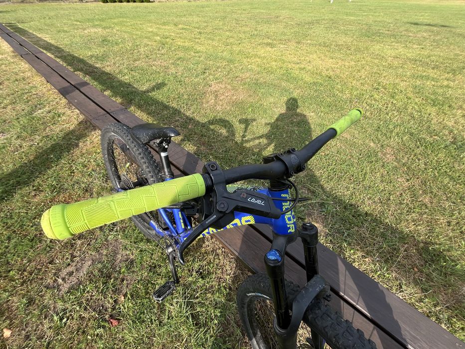 Dartmoor blackbird jr !OKAZJA!