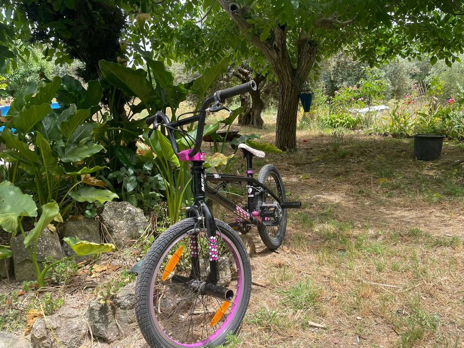 Bicicleta BMX com travões, muito bom estado e com pouco uso.