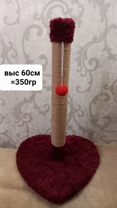 Когтеточки разные