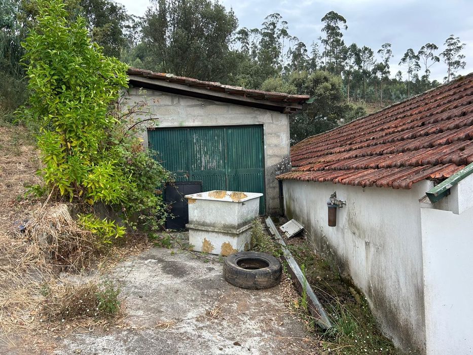 Casa T2 + terreno (5000m2)