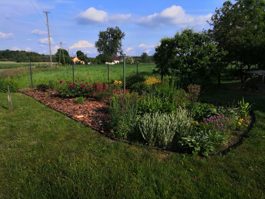 Pielegnacja ogrodów