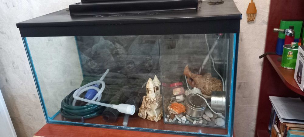 Акваріум кімнатний