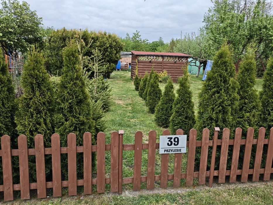 Odstąpię działkę ROD Przylesie