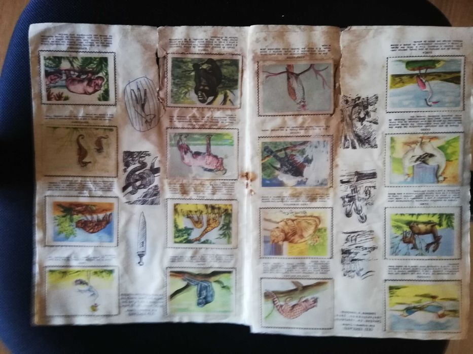 Cromos Mundo Maravilhoso do Reino Animal