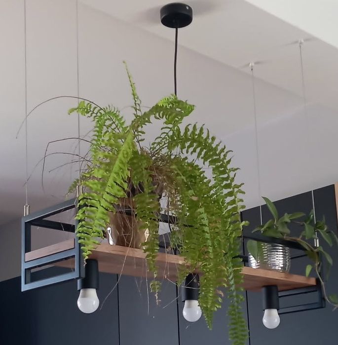 Lampa , kwietnik wisząca, nad stół wyspę, loft, industrial.