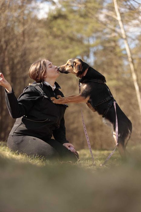 Orz – 15 kg, młody, wrażliwy, robi ogromne postępy, do adopcji