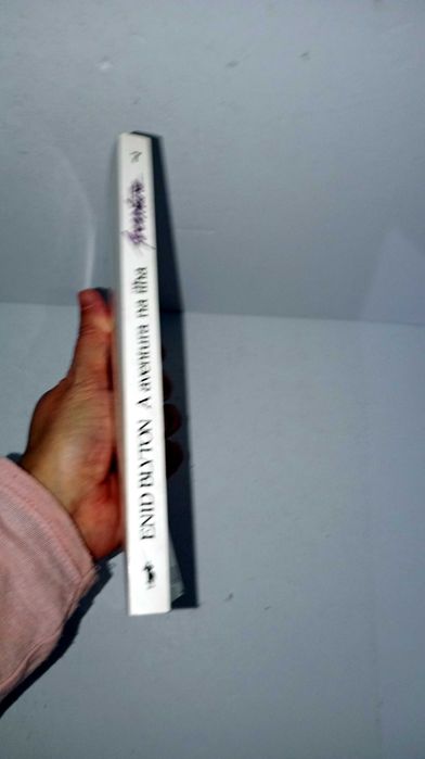 A Aventura na Ilha - Enid Blyton