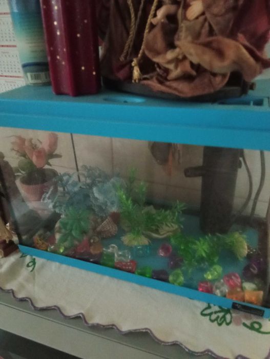 Aquário de peixes