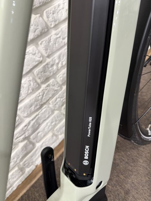 Rower elektryczny na pasku Rose Xtra Watt Plus 2 Bosch L