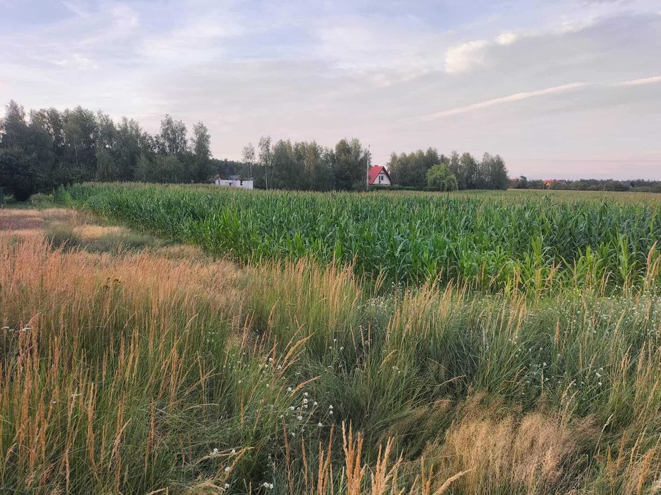 Działka rekreacyjna Wieleń