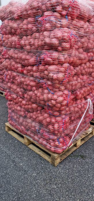 Batata Agria e Cebola