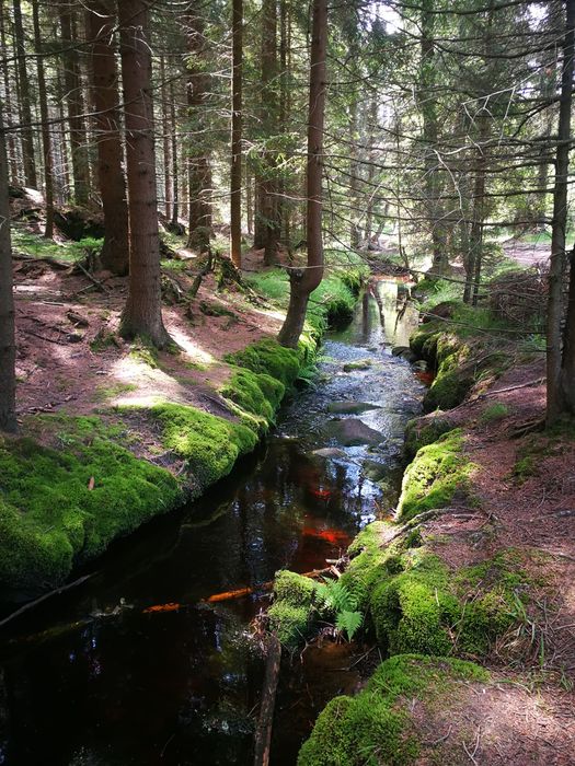 Pokoje Radków zalew