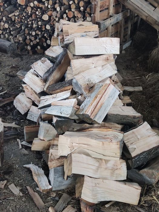 Vende se  lenha bem seca