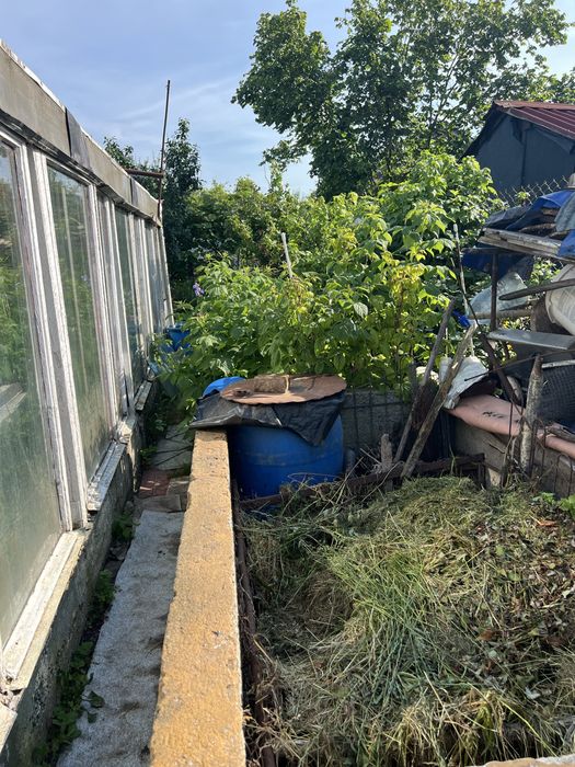 Działka ROD Pogodny ul. Taczaka 489 m² - Więcej