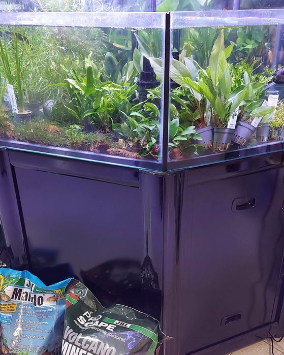 Bateria de aquários Cascata