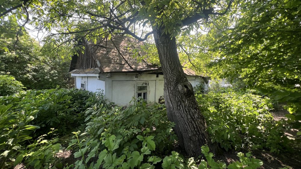 Продається земельна ділянка в селі Бабин